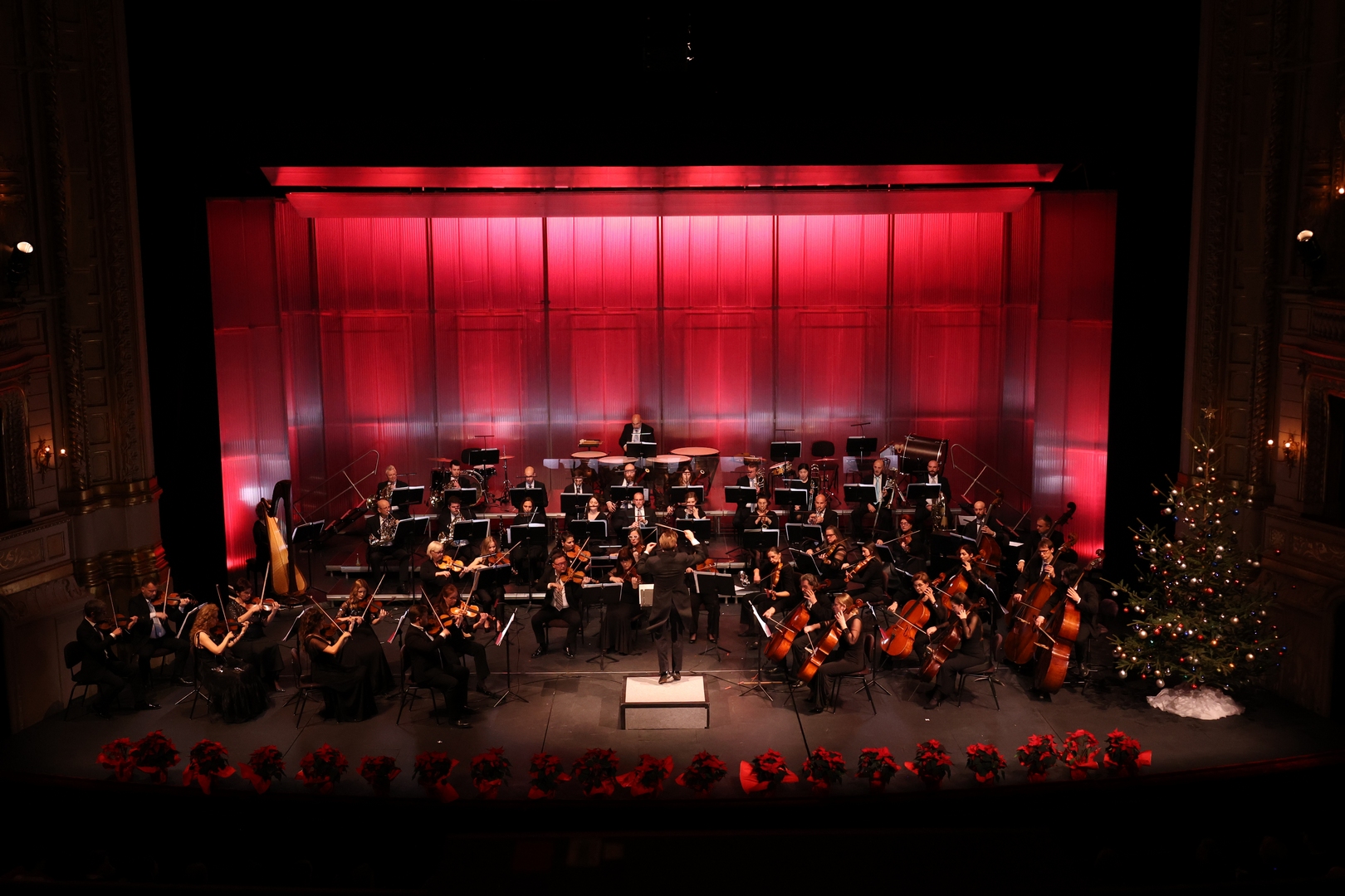 Novogodišnji koncert: Valentin Egel i Riječki simfonijski orkestar; foto Dražen Šokčević
