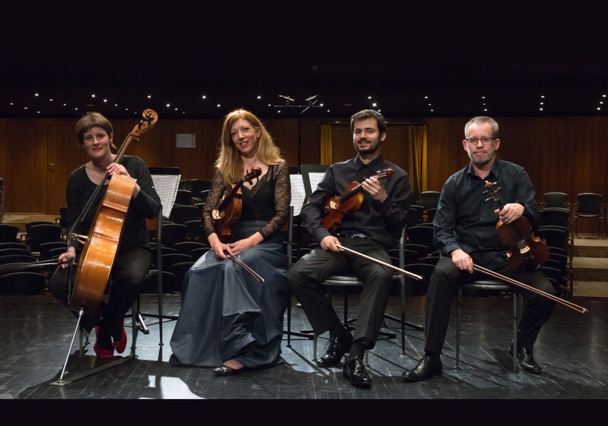 Gudački orkestar Porin