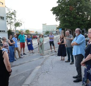 Vođena šetnja s Velidom Đekićem