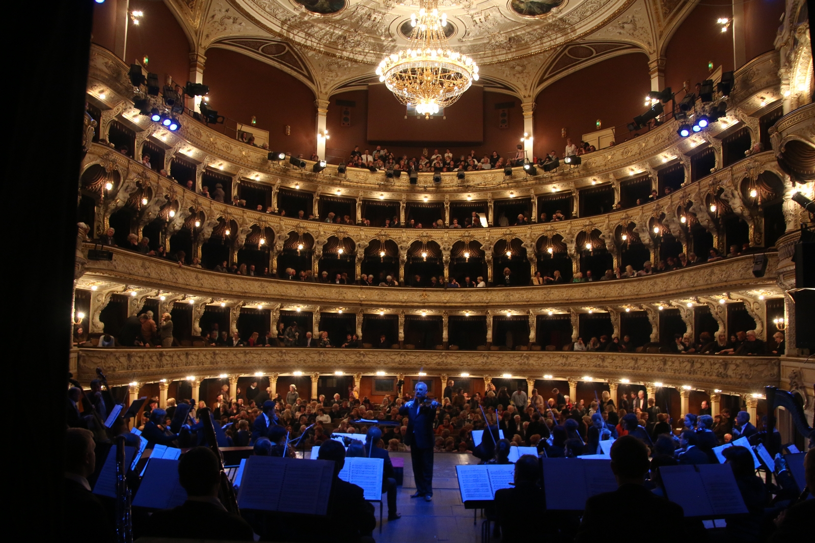 koncert