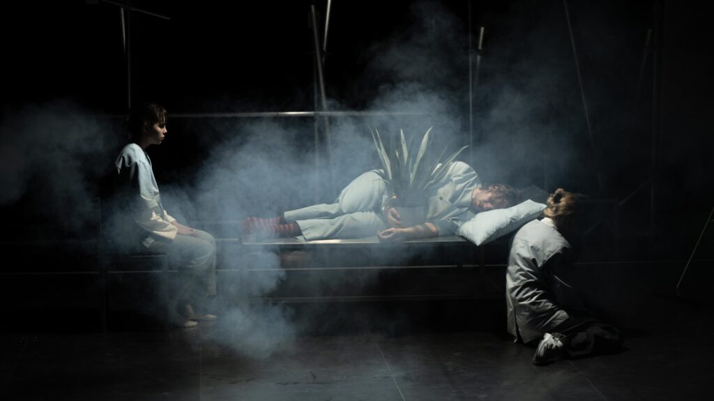 The Effect; foto: A. Gudas